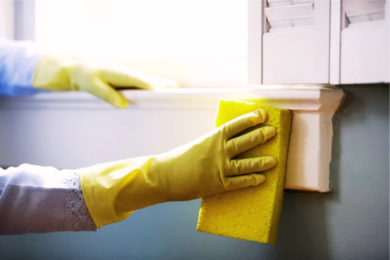 limpeza de manutenção